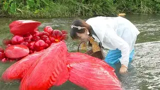 😱😱Unparalleled Find: Girl's Wild Adventure Yields Incredible Pearl Hidden in Odd Mussel!