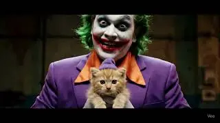 &ldquo;🤣 Joker Funny Moments |  Meme Shorts&rdquo;DIGITAL MARKETING : Social Media Ads campaign