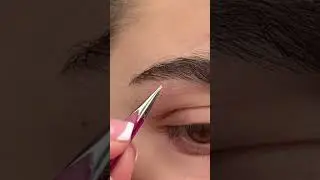 Your brow's best friend! 💖 Using ArteStile Point Tip Tweezers! 🫶🏽 #browplucking #pluckingeyebrows
