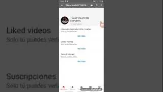 TEAM_VAEVICTIS_ESPORTS