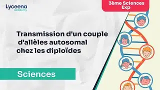 3ème sciences expérimentales | SVT | Transmission d'un couple d'allèles autosomal chez les diploïdes