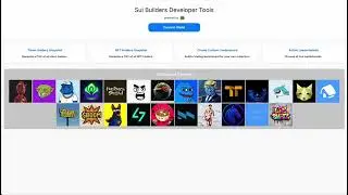 How to Use the Sui Token Holders Snapshot Tool