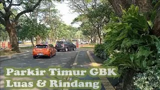 Parkir Timur GBK yang luas & rindang | Gelora Bung Karno | Senayan