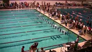 AL Tri Dual 100 Br 102217