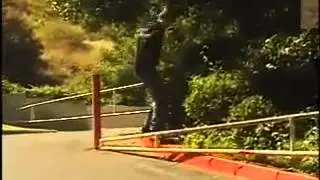 Riley Hawk - The Shep Dawgs Video