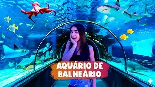 FUI CONHECER O AQUÁRIO DE BALNEÁRIO