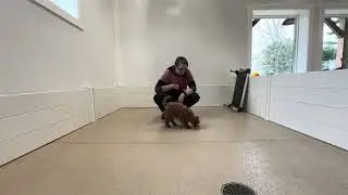 Beck Training Session 11/18