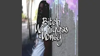 Bitch, My Niggas, Money