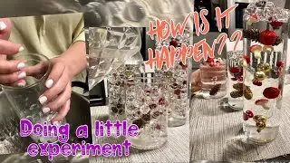 Water Pearl Christmas decor/ #christmasholiday2022 / #experiment101