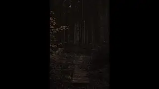 Tdf x orchestral x melodic type beat 