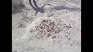 Protectors of Tule Springs