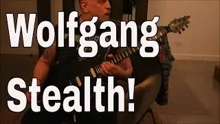 I play EVH Wolfgang Special 