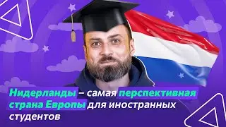 Нидерланды &ndash; самая перспективная страна Европы для иностранных студентов | Обучение за рубежом