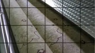 Organic Rug Cleaning Process - Safavieh Rug - RevitaRUGS