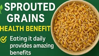 முளைக்கட்டிய தானியங்கள் சாப்பிடுவதால் கிடைக்கும் நன்மைகள் | Sprouted Grains Health Benefits in Tamil