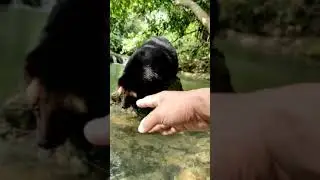 brasa mandi di aviarynya de'hakims heheheee.. (indahnya kampungku)