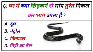 Amazing GK Questions | Test Your Brain Power | Daily General Knowledge Quiz