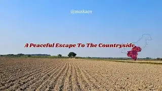 A Moment to Breathe in Sindh's Serenity 🌿 Pakistan Aesthetic Village Vlog