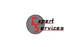 ExpertServices: Generated $20,000 in just 2 weeks