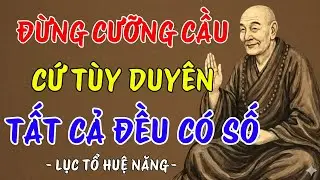LỤC TỔ HUỆ NĂNG : Mọi việc trên đời đừng cưỡng cầu - cứ tùy duyên mà sống, ai cũng nên nghe 1 lần ?