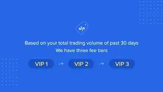 VIP fee tiers