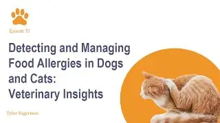 Detecting and Managing Food Allergies in Dogs and Cats: Veterinary Insights