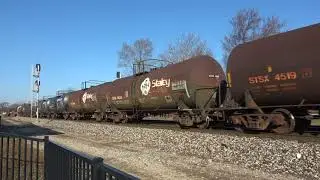 NS 233 meets NS 146