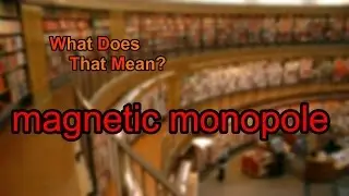 What does magnetic monopole mean?