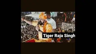 Tiger Raja Singh ke bete ko kidnap karne dhamki # Raja Singh RamNavami # Telangana