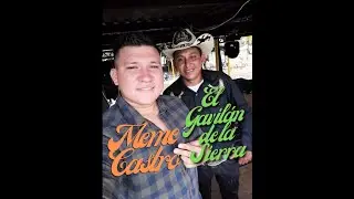 ME GUSTA TU VIEJA - MEME CASTRO Y EL GAVIL&Aacute;N DE LA SIERRA