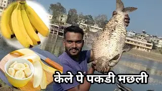 Parag Machli | Big Carp Fish | banana 🍌 se pakdi parag machli