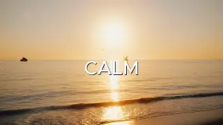 Relaxing Music Calm Piano to Relax Your Mind & Deep Sleep