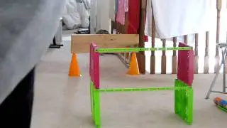 Cat agility, Puffy jumping practice