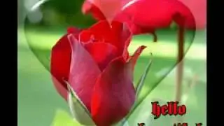 Rishta dilon ka (MUST WATCH)
