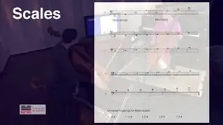 CELLO MASTERCLASS - ALEXANDER TECHNIQUE - SCALE PRACTICE