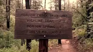 Horton Creek