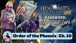 Luna Lovegood | Order of the Phoenix Chapter 10 ⚡ MAGICAL THEORY PODCAST