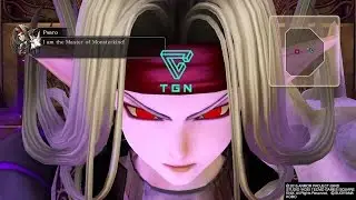 Dragon Quest Heroes: Psaro Boss Fight