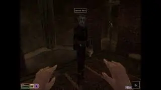 Hilarious morrowind enchantment - shield of death - funny moments