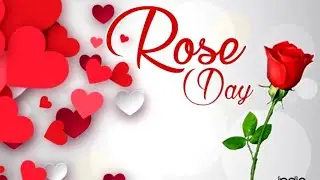 💞💞Rose day status | best status for this valentine |💞💞