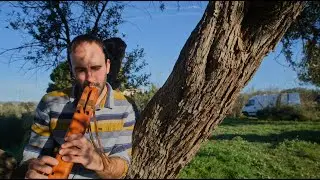 Pasos de Poder [Canciones para piano y flauta]