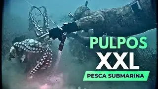 ✔PESCA SUBMARINA PULPOS GIGANTES🐙LOS PRIMEROS PULPOS XXL DE LA TEMPORADA
