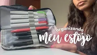 organizando meu estojo 2026! 🌸