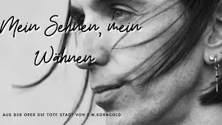 Mein Sehnen , mein W&auml;hnen     aus der Oper Die tote Stadt von E.W.Korngold    - Hern&aacute;n vuga