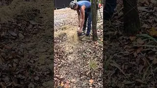 Does a chainsaw work for digging ditch ??yes 🤔