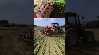 Spapperi SC400 -  rincalzatore a 4 file