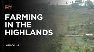 Highland communities turn to sustainable farming amid challenges