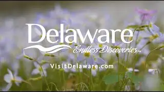 Delaware&rsquo;s Gardens: Mt. Cuba Center