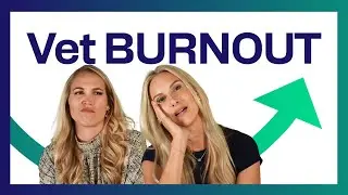 The Truth About Burnout in Veterinary Medicine