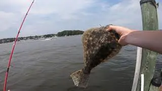 PRIVATE DOCK Fishing for Summer FLOUNDER